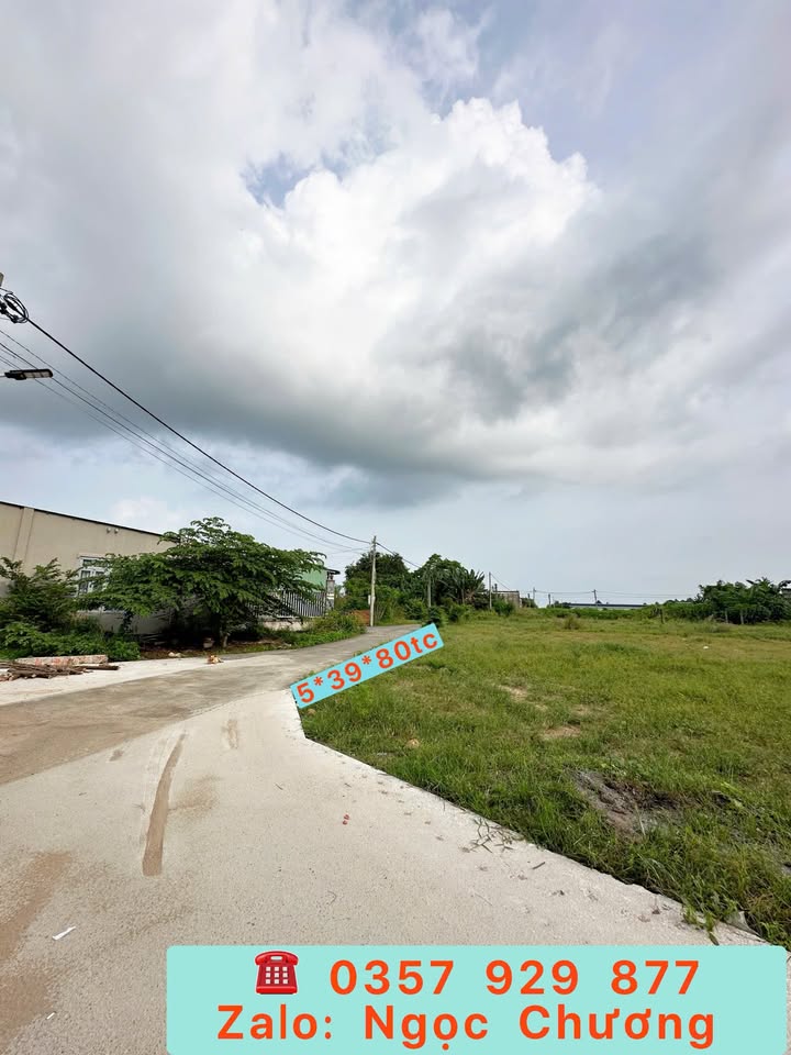 Đất vàng Châu Pha, 80m² thổ cư, nở hậu tài lộc, sổ riêng sang tên ngay