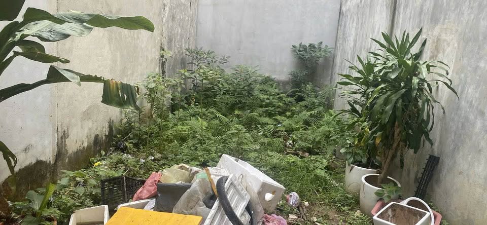 Bán đất Trâu Quỳ, Gia Lâm, Hà Nội - 43.8m2, mặt tiền 4m, giá 4,6 tỷ