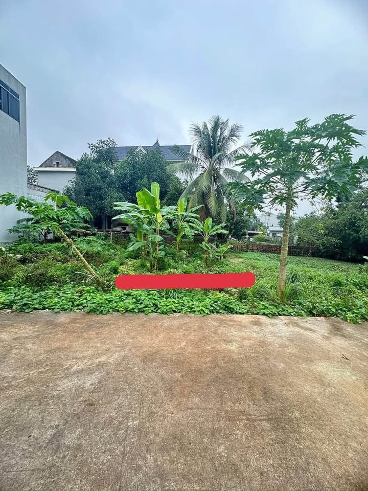 Đất Ninh Khánh ngõ cụt 4m, hướng Nam ghé Đông, sổ đỏ 107,5m2