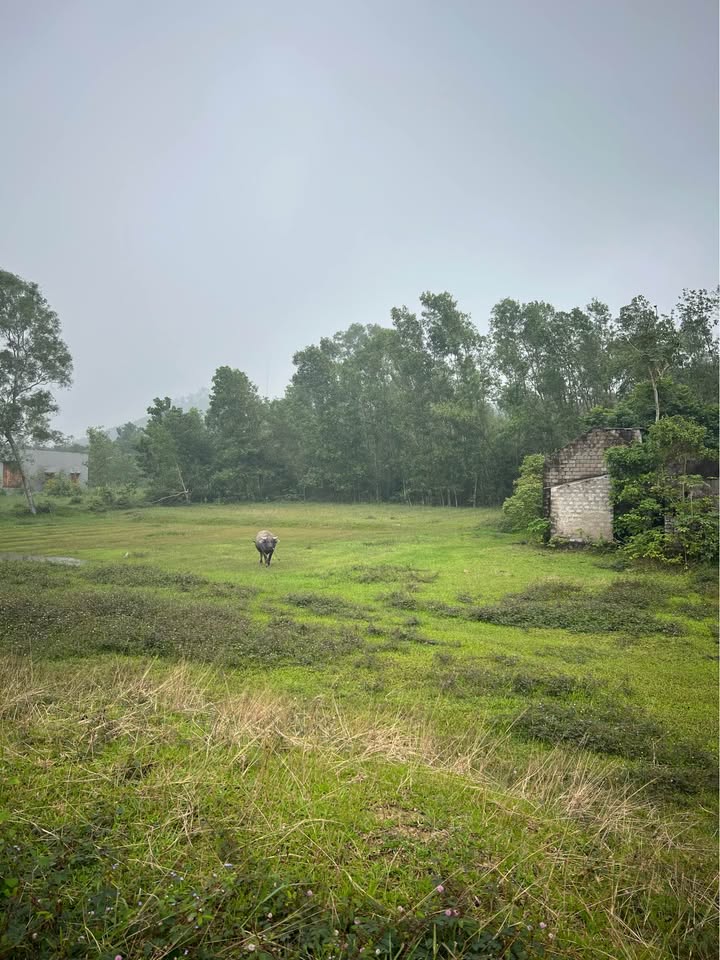 Bán gấp 27.000m² đất vàng, sổ đỏ sẵn sàng, tiềm năng tăng giá sốc