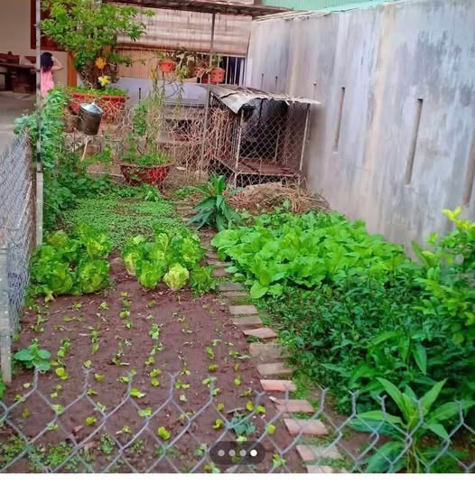 Đất Lương Thế Vinh 5x44m, 100% thổ cư, hướng Đông, giá nhỉnh 1 tỷ - Cơ hội vàng cho nhà đầu tư