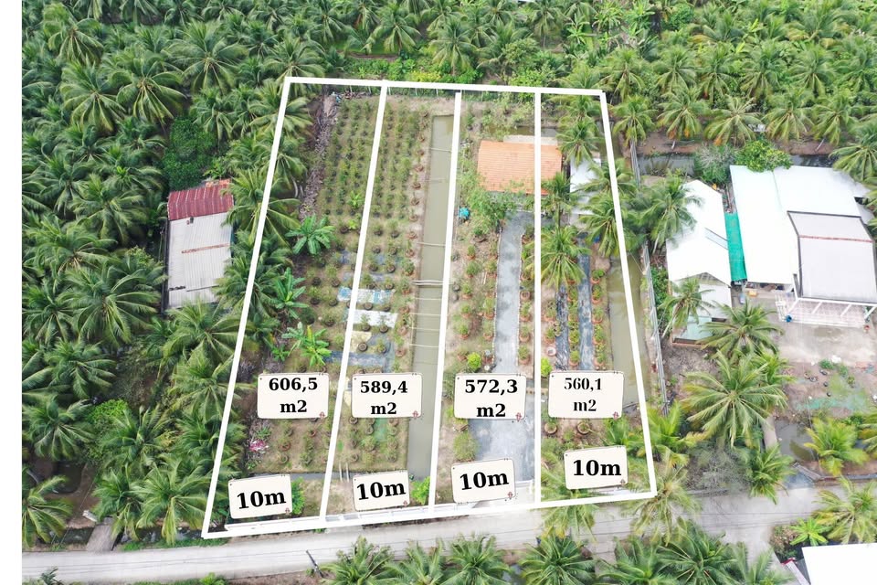 Cơ hội đầu tư đất nền Bến Tre không thể bỏ lỡ