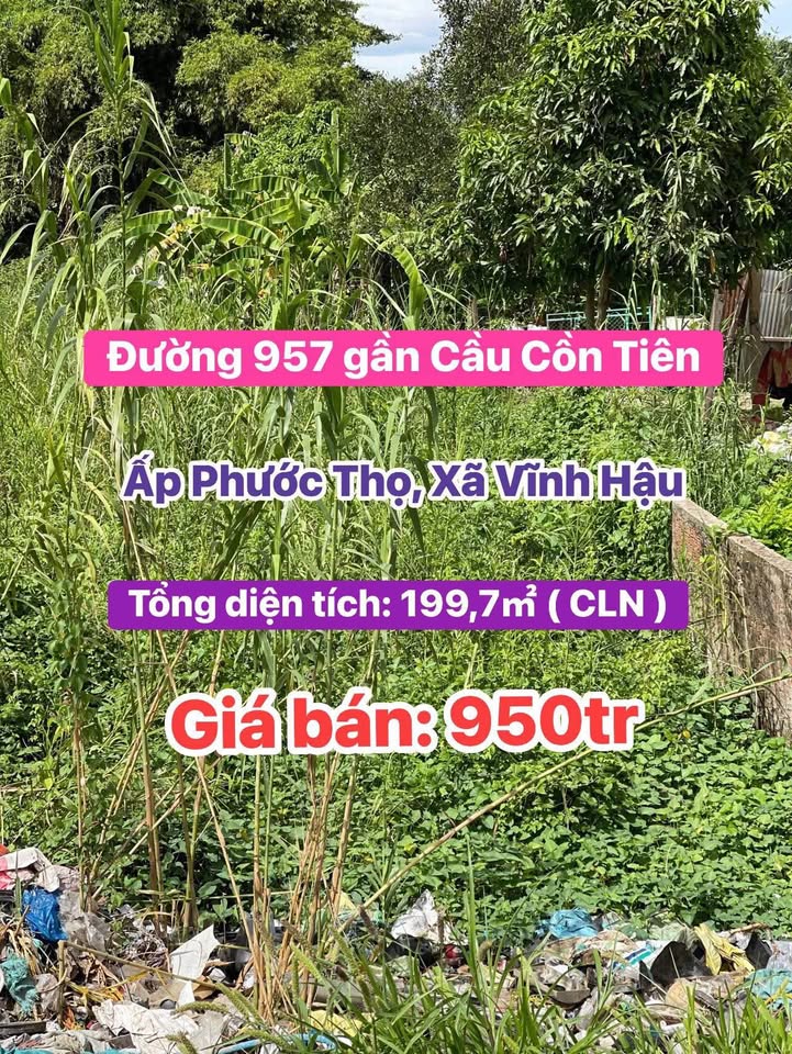 Bán đất Vĩnh Hậu, An Giang gần chợ, trường học, tiện ích