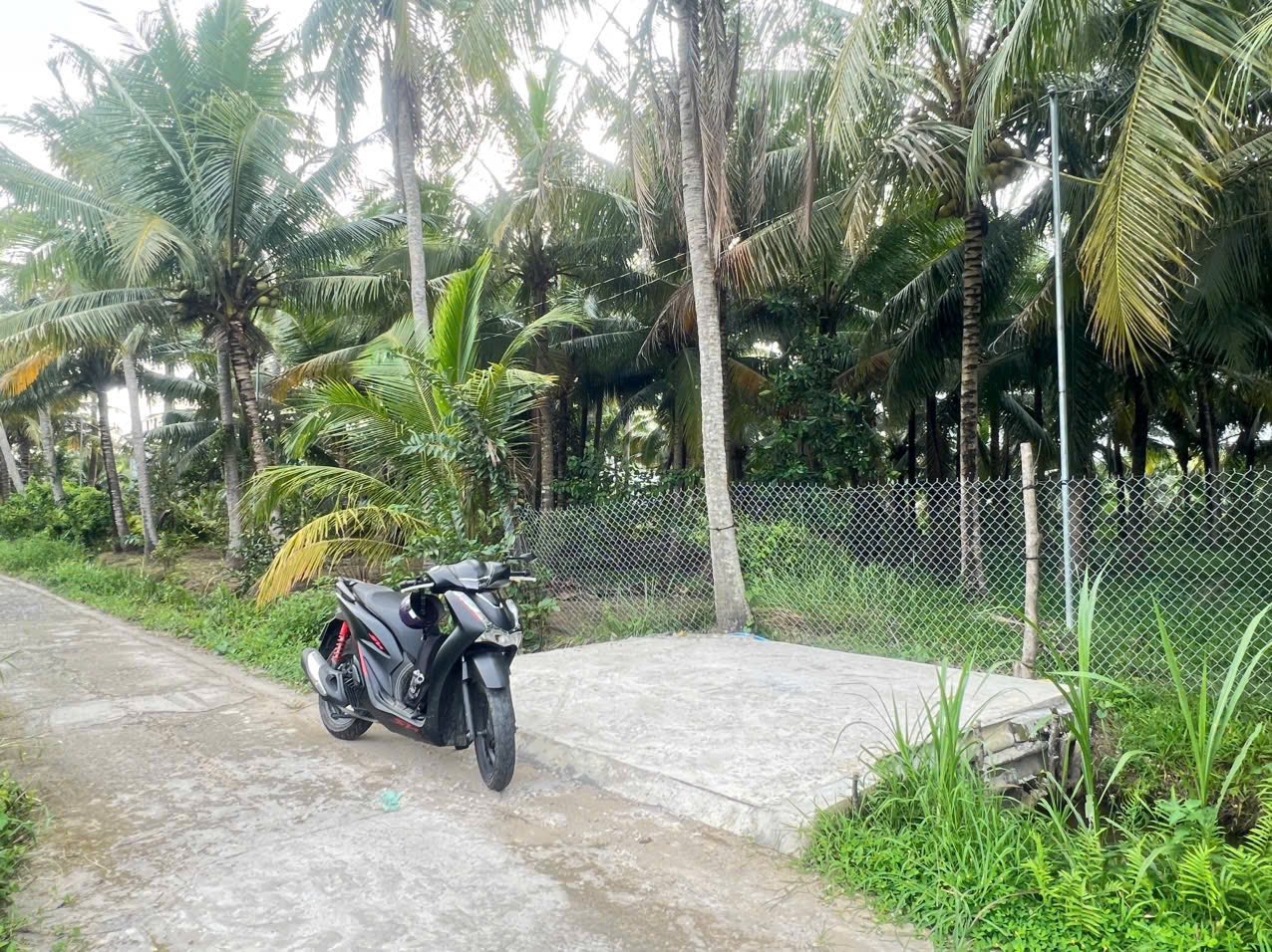 Bán đất 500m2 tại Phường Phú Tân, Bến Tre, đường xe 7 chỗ