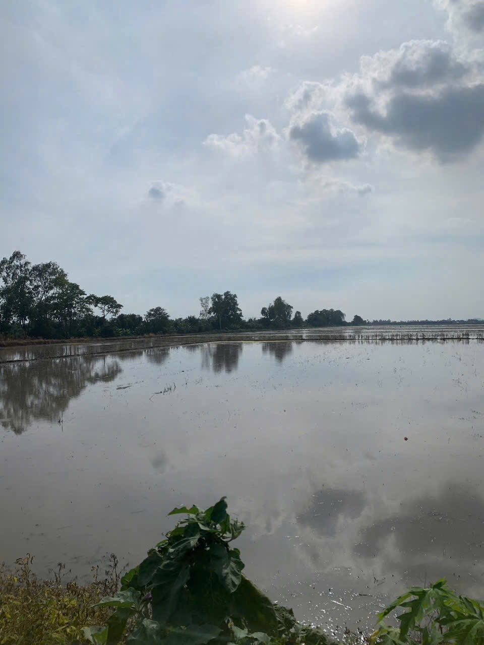 Chào mừng quý nhà đầu tư đến với cơ hội sở hữu quỹ đất vàng tại An Giang