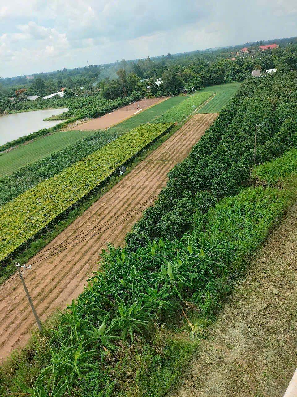 Bán đất rộng 13 công, mặt tiền 42m gần Cầu Vàm Cống, Đồng Tháp