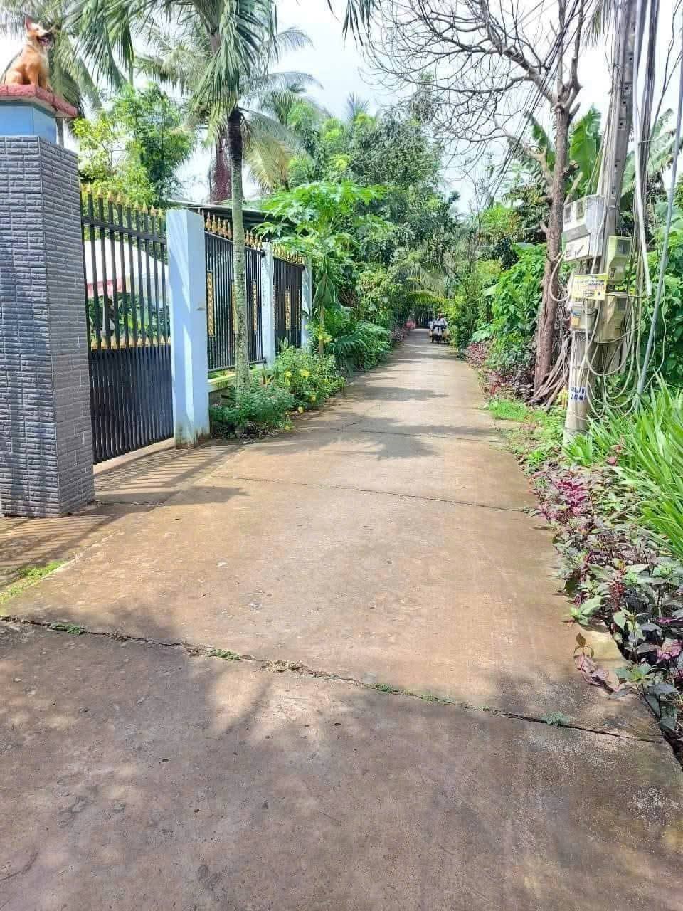 Đất mặt tiền hẻm 9m, 229m2, 650 triệu - Cơ hội vàng cho nhà đầu tư