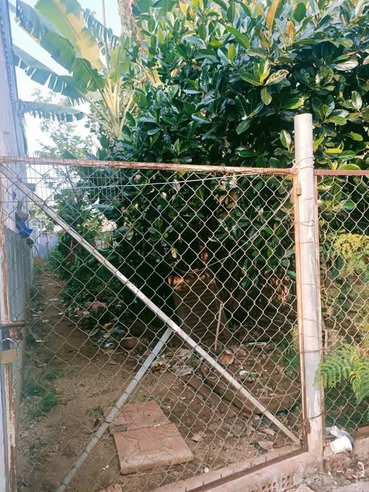 Đất hẻm Nguyễn Chí Thanh - Ô tô tránh nhau ầm ầm, giá chỉ 3.85 tỷ