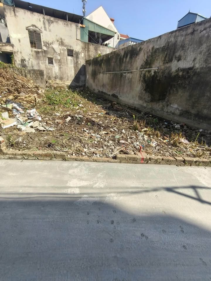 Đất đẹp ngõ Trần Thái Tông, gần trường chợ, giá chỉ 2 tỷ