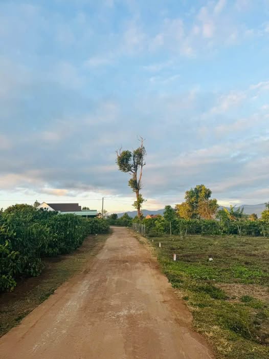 Siêu phẩm đất nền góc 2 mặt tiền siêu đẹp, chỉ còn duy nhất 1 lô mà giá thì "hời" đến nhức nách