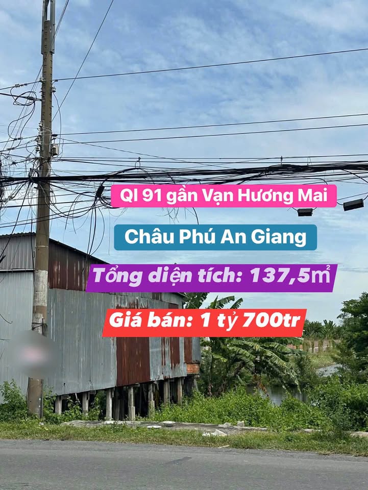 Bán nền An Giang, 137m2, giá nhỉnh 1,7 tỷ, sát Quốc Lộ 91