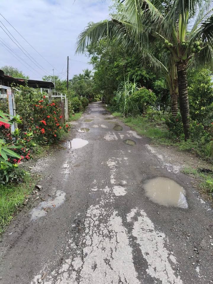 Bán đất 157,8m² mặt tiền 5m gần chợ Vĩnh Khánh, thành phố Long Xuyên