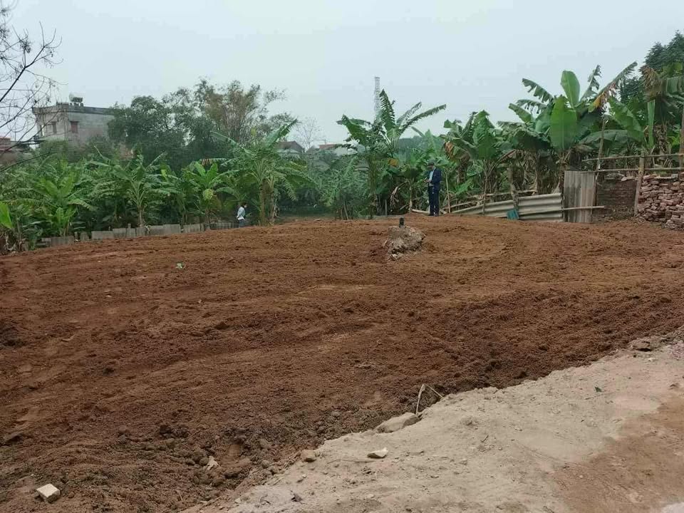 Đất thổ cư Gia Bình siêu rộng, giá siêu mềm, đầu tư siêu lợi nhuận