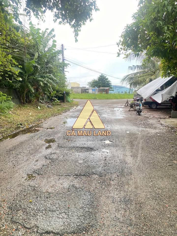 Nền đất giá tốt tại khu đô thị Bạch Đằng, phường Lý Văn Lâm