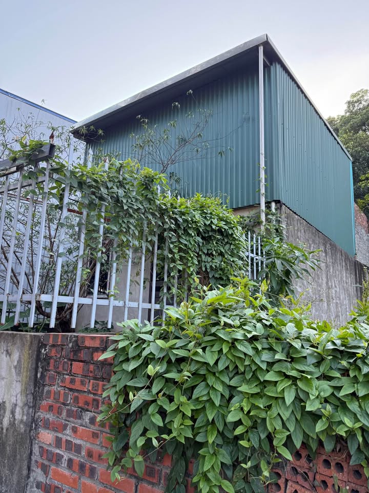 Bán nhà cấp 4, 135,8m² tại Hoàn Sơn, Tiên Du, Bắc Ninh