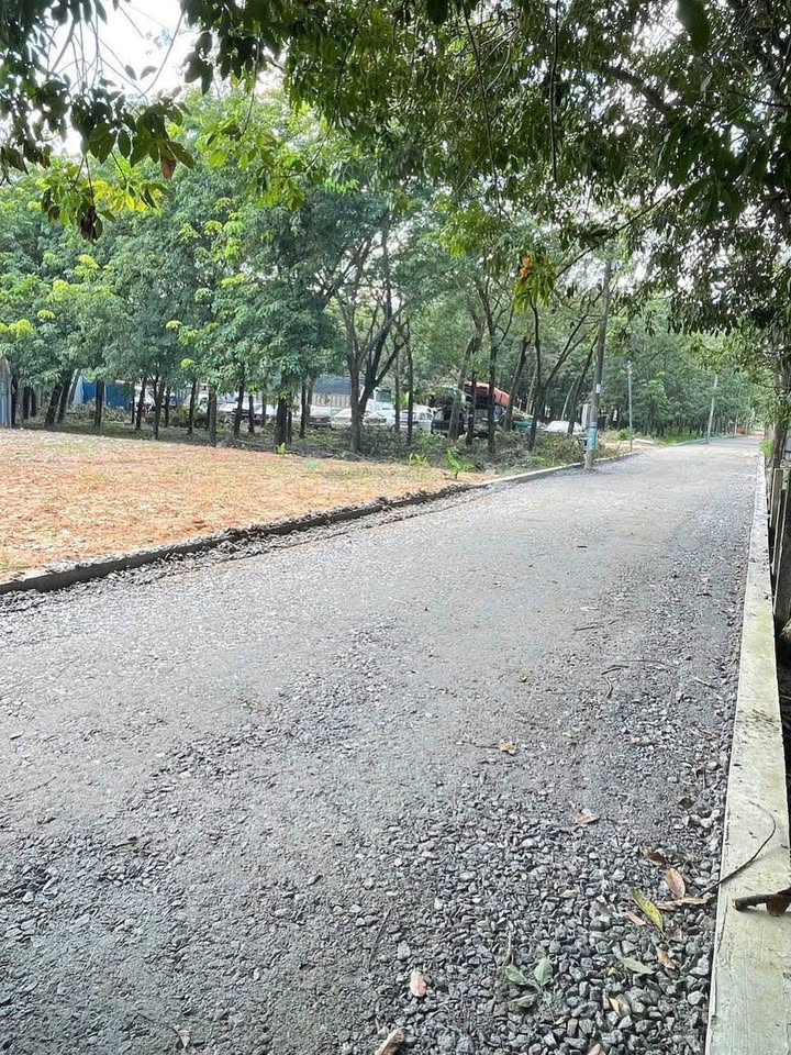 Cơ hội sở hữu ngay lô đất cực phẩm tại Hoà Lợi, Bến Cát, Bình Dương