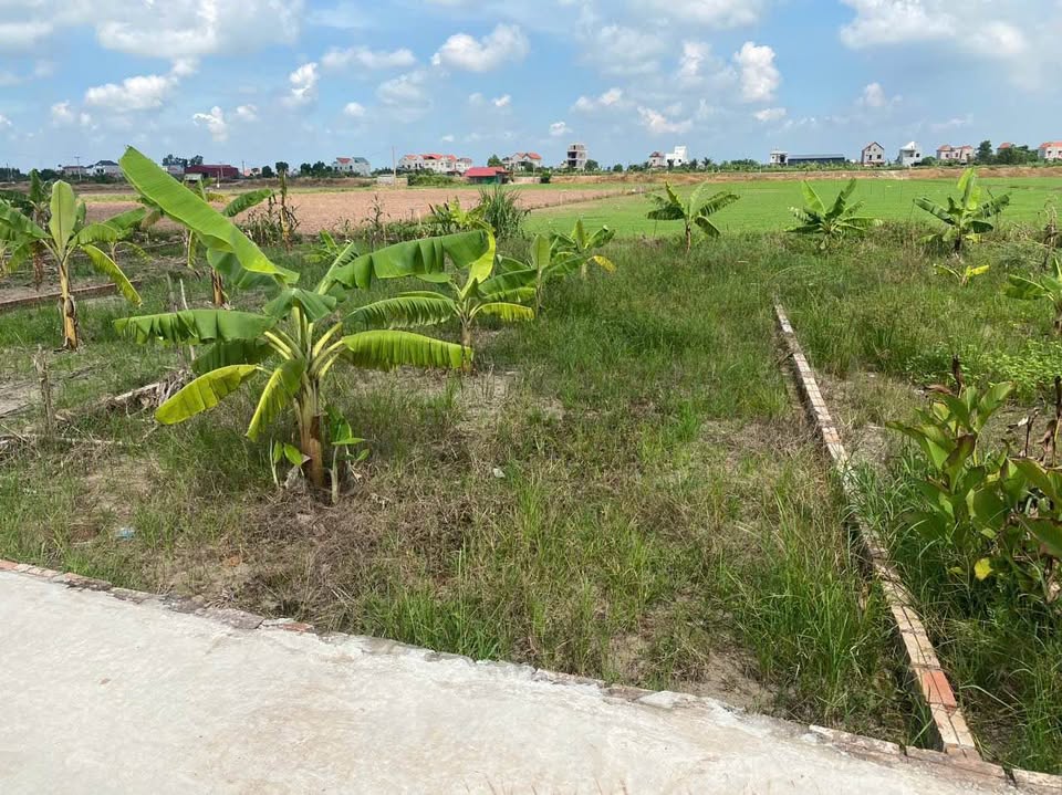 Đất 2 mặt tiền, đường ô tô tránh, Lương Tài, Bắc Ninh, giá siêu khủng