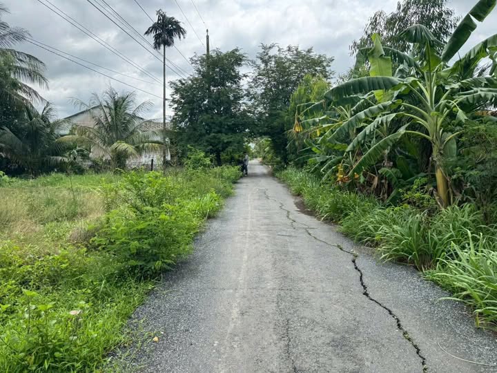 Bùng nổ lợi nhuận, đất vàng Long An, xả lỗ sốc 600 triệu