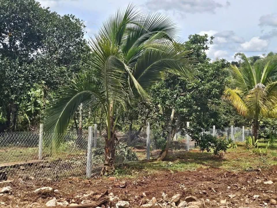 Bán đất mặt tiền đường Đỗ Xuân Hợp nối dài, Buôn Ma Thuột, diện tích 900m2, giá 1.35 tỷ