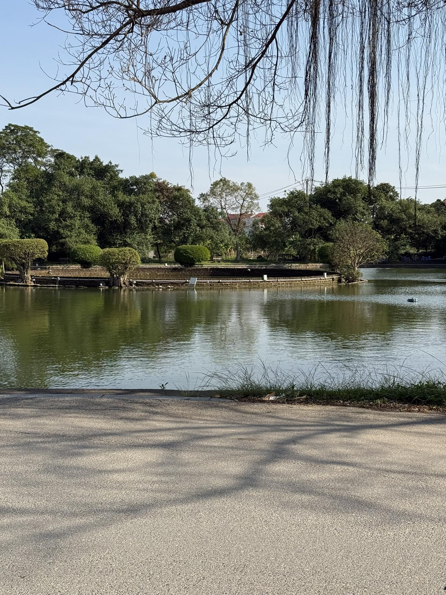 Đất Cổ Loa mặt tiền 8m, full thổ cư, ô tô vào tận nhà, giá 47 triệu/m2