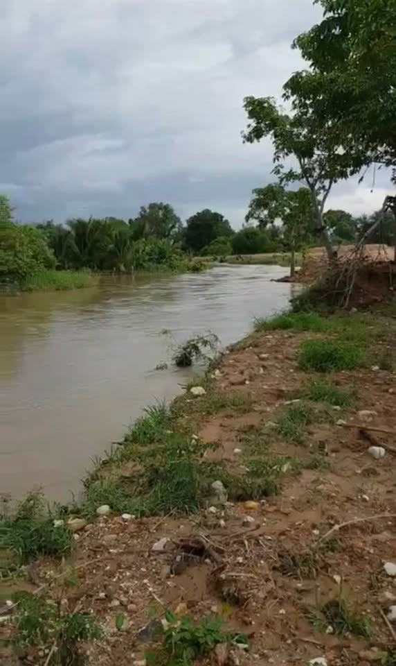 Cơ hội sở hữu ngay 17.000m2 đất vàng với mức giá không tưởng chỉ 310 triệu/1000m2