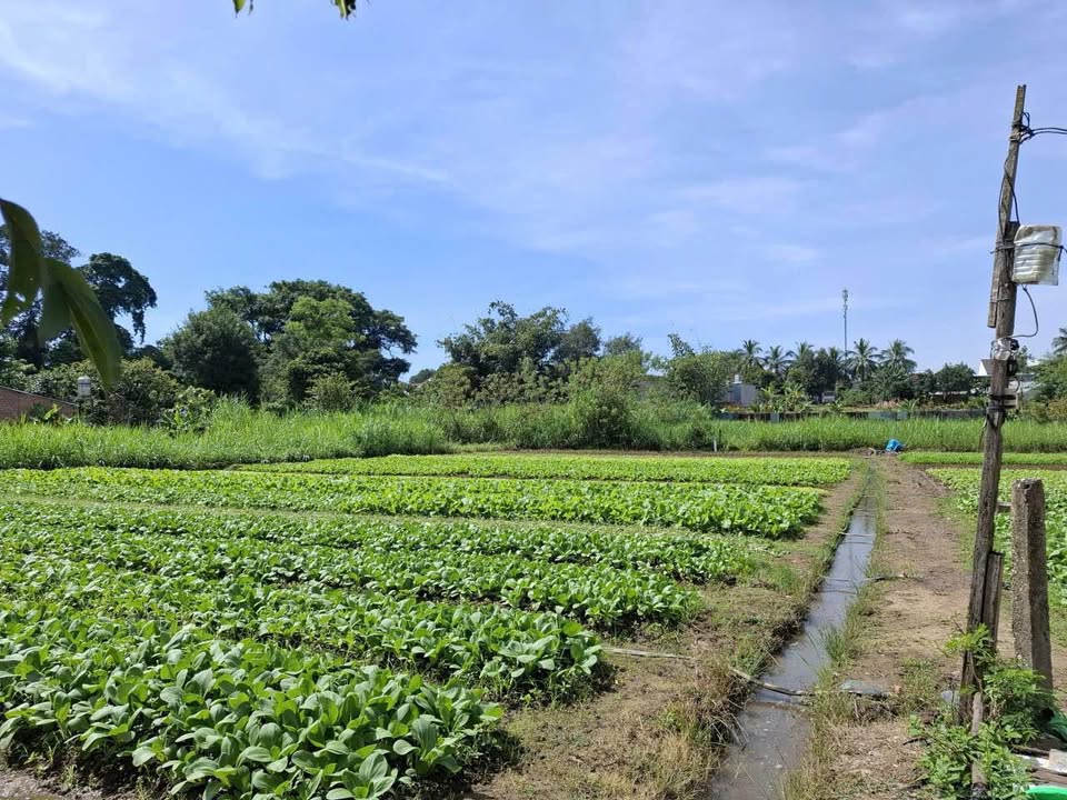 Bán đất 315m2 mặt tiền 7m đường Nguyễn Đức Cảnh, Kon Tum