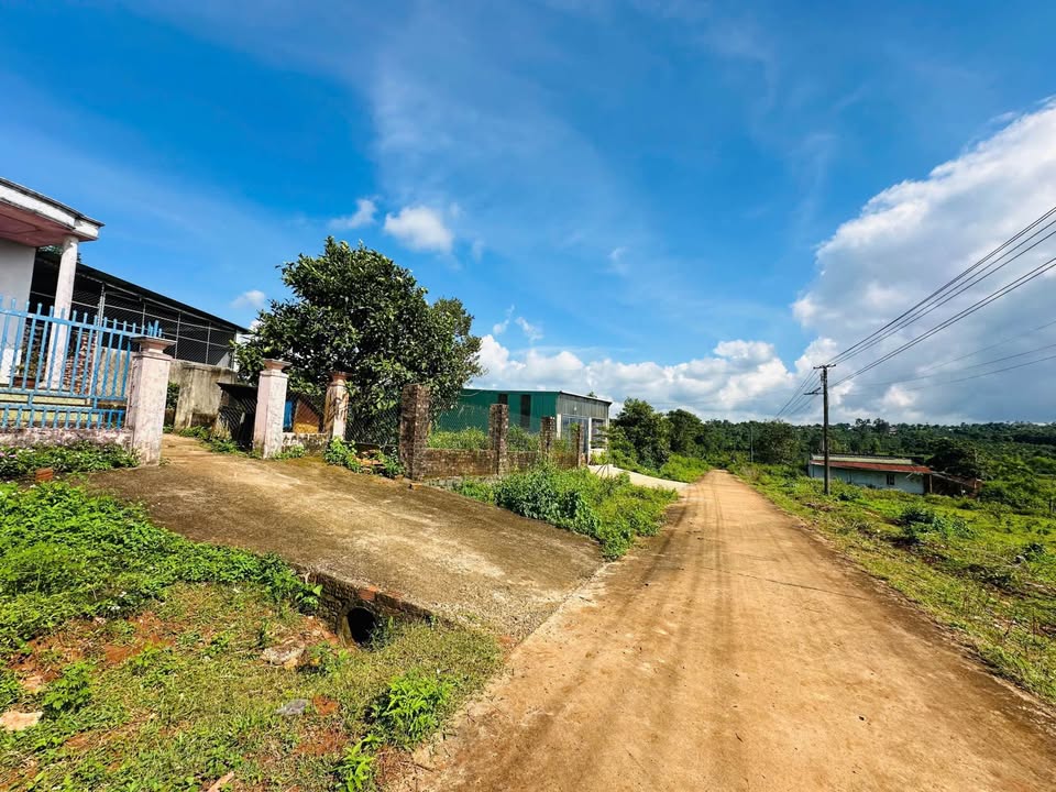 Cần bán 3 lô đất thổ cư tại Phường Hội Phú, nằm trên hẻm Nguyễn Bình