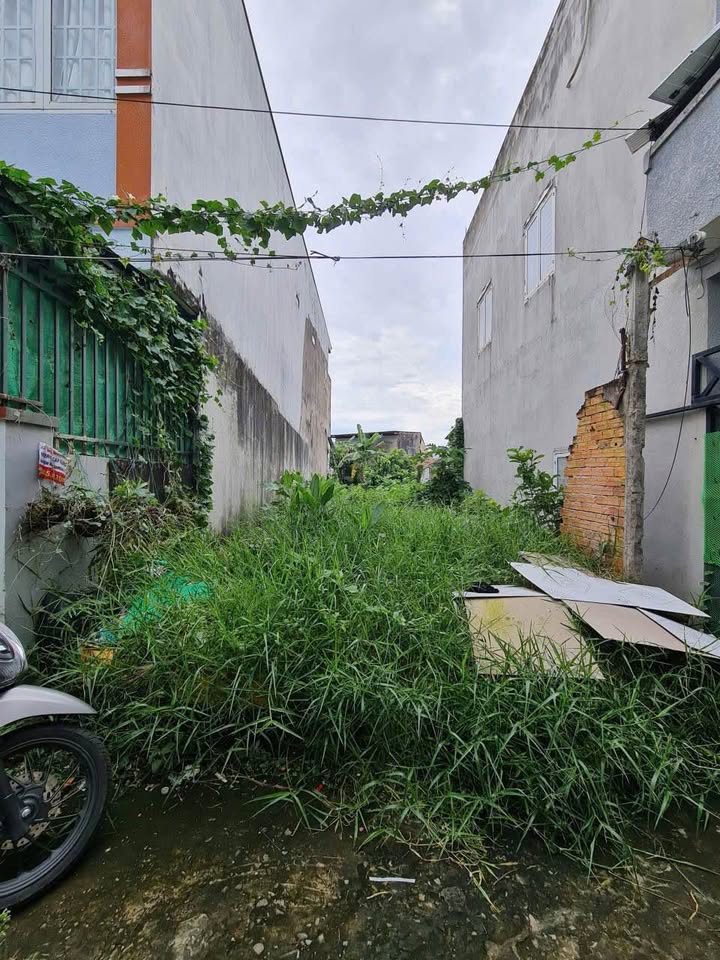 Đất vườn giá hời, gần Đại học Y Dược, tiềm năng ra mặt tiền bờ kè