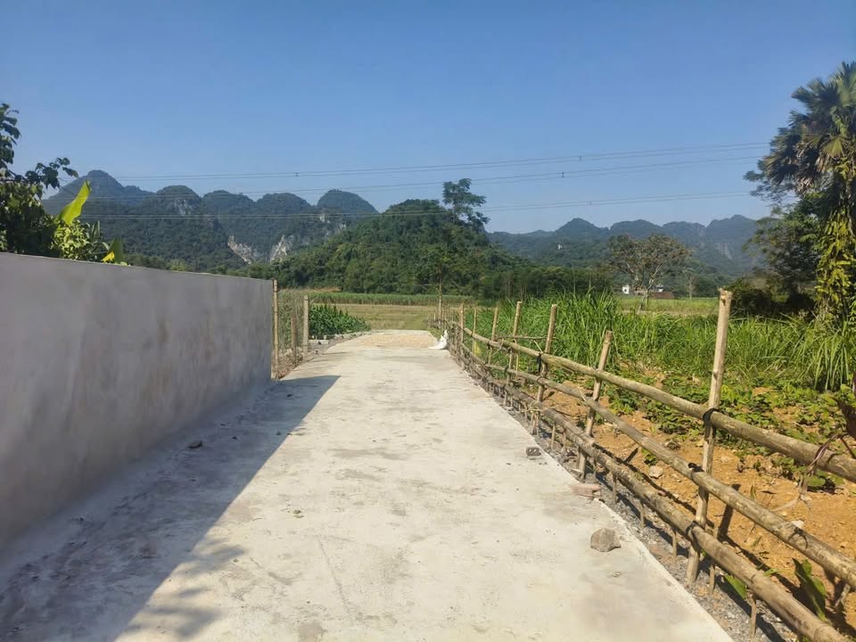 Bán lỗ 138m² full thổ cư, giá 180 triệu – Yên Thủy, Hòa Bình