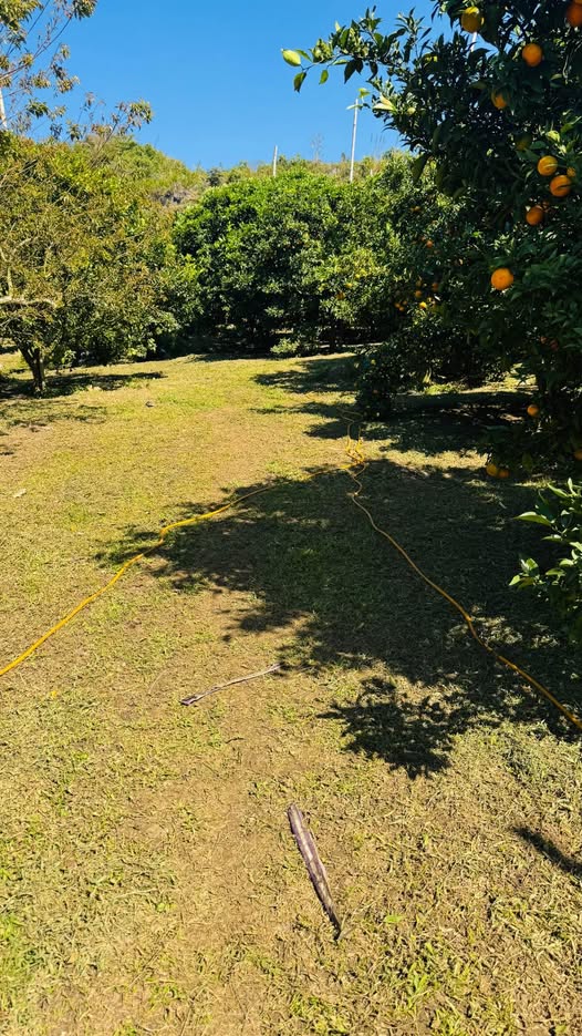 Bán đất vườn 3ha tại Mộc Châu, Sơn La, view đẹp, cây ăn quả lâu năm, tiềm năng du lịch