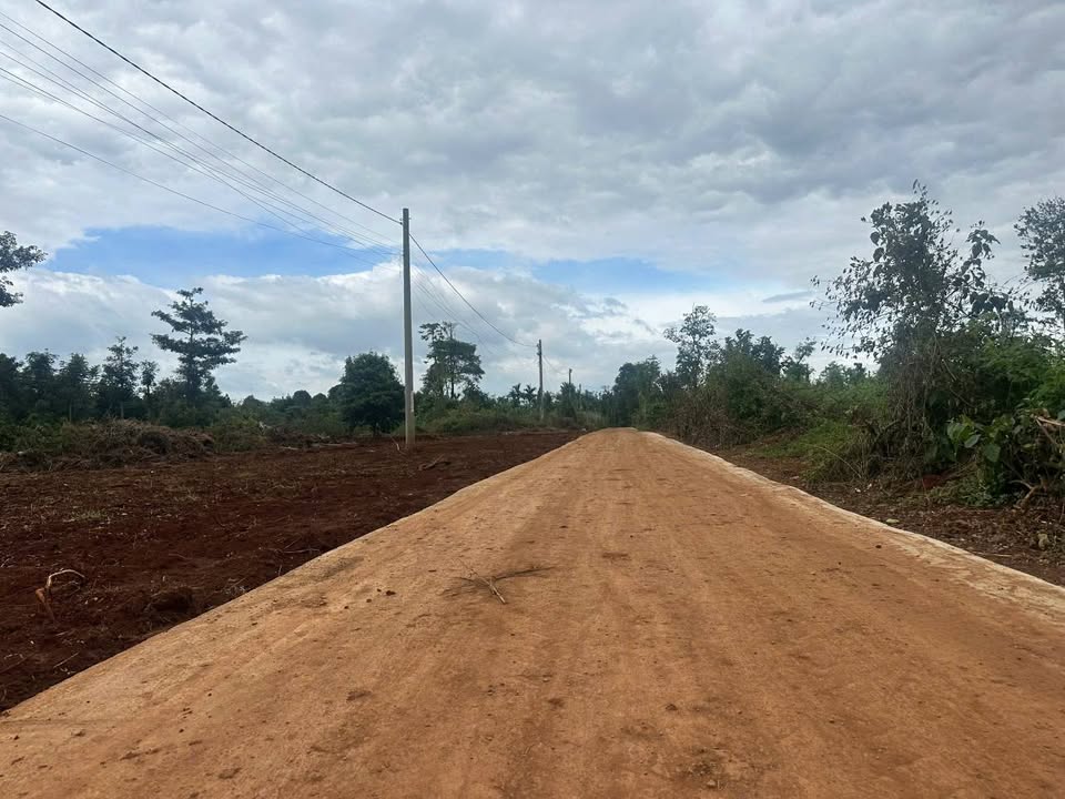 10 lô liền kề Cư Sue – Hẻm cấp 1 thông thoáng, gần trường Lê Hồng Phong, tiềm năng sinh lời vượt trội