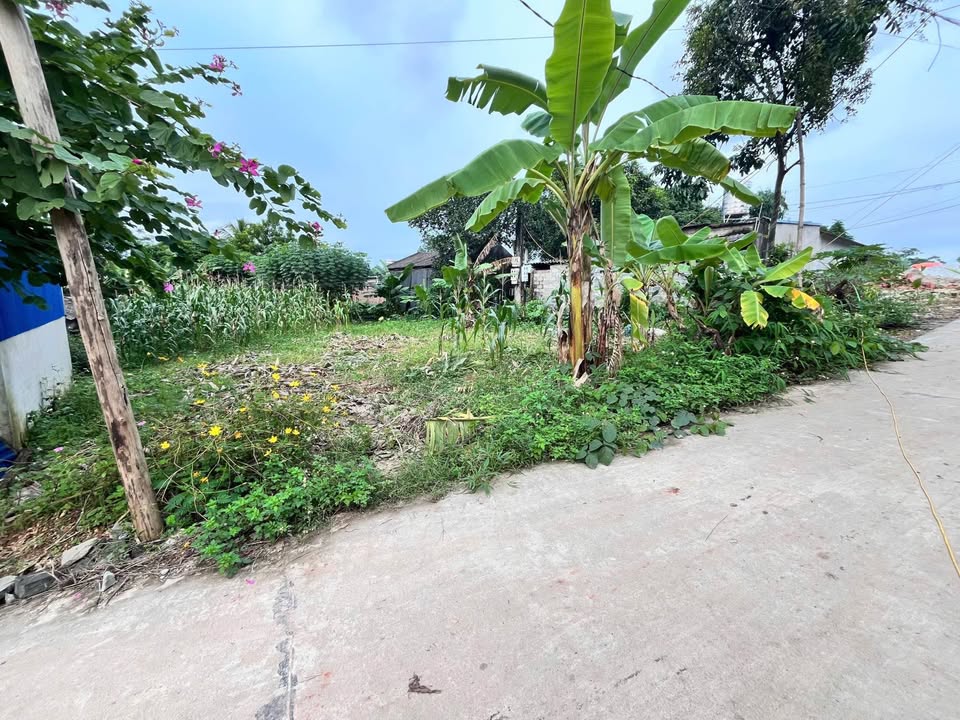 Bán đất thổ cư 140m2, mặt tiền 5m tại Quan Triều, Thái Nguyên