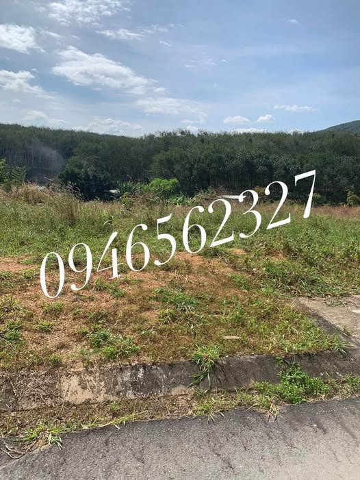 Đất thổ cư vuông vắn, bám mặt đường bê tông rộng 11.5m, gần Nguyễn Văn Linh