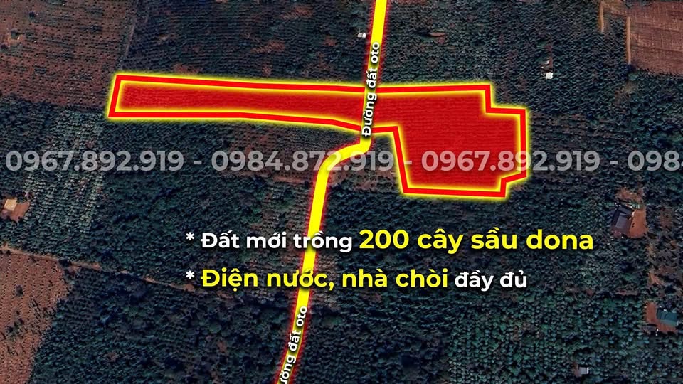 Chào mừng quý nhà đầu tư đến với "mỏ vàng" tại Cư Mgar, Đắk Lắk