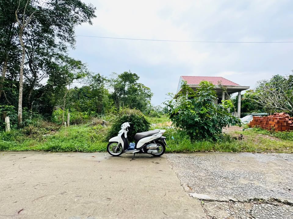 Đất mặt tiền Vũ Ngọc Phan thoát ngập, đường rộng, giá hời