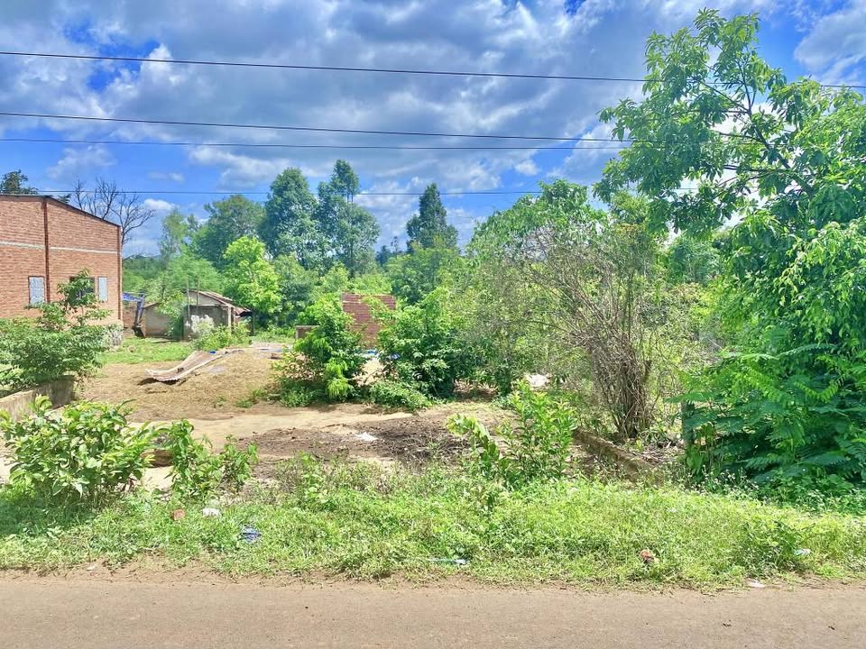 Chào bạn, chúng tôi đang có lô đất nền tuyệt đẹp nằm ngay Tỉnh lộ 10, thuộc xã Băng Adrenh