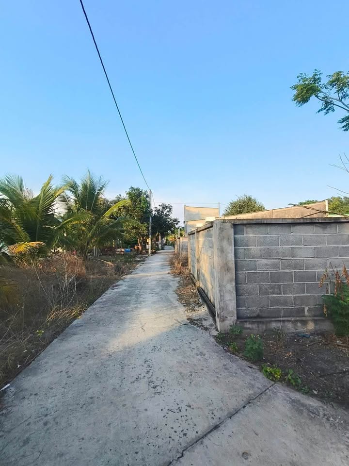 Sốc biệt thự vườn Phước Hải, gần biển, giá rẻ bất ngờ, cơ hội vàng cho nhà đầu tư