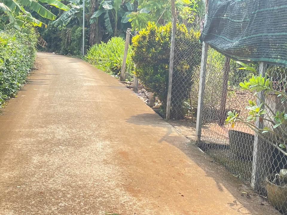 Đất Đỏ giá tốt - Xây nhà vườn, rinh lộc đầu tư