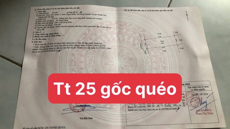 Đất nền đấu giá Gốc Quéo, Thanh Oai, diện tích 75m2, mặt tiền 5m