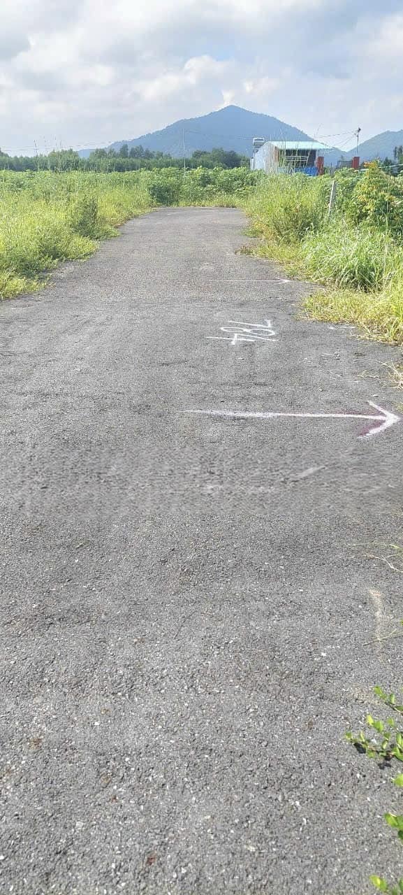 Đất thổ cư Hắc Dịch, giá sập sàn, 899 triệu