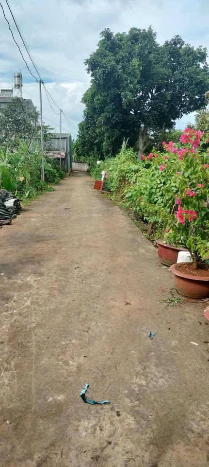 Bán đất 90m² hẻm 51 Võ Thị Sáu, Buôn Ma Thuột - Sổ chung, giá tốt