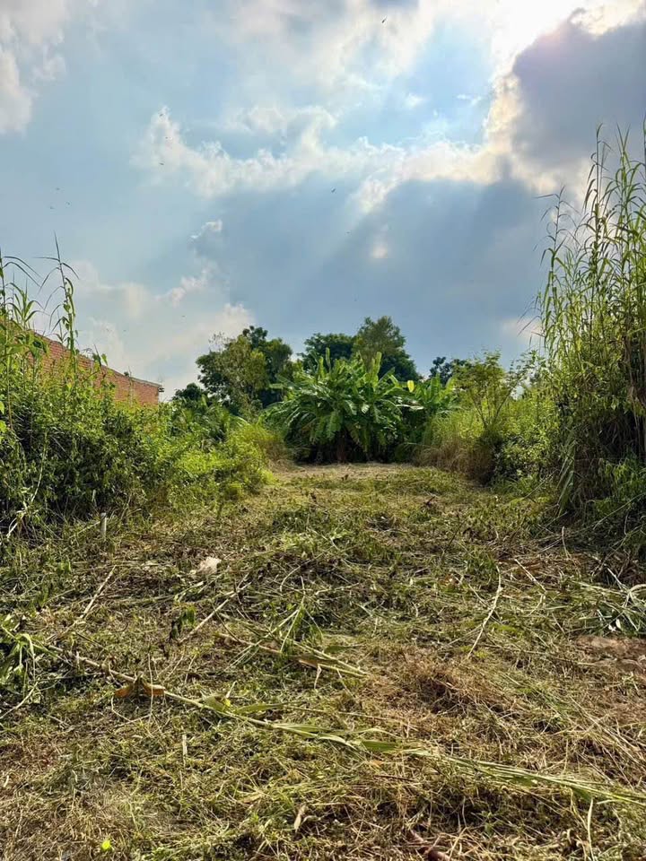 Bán đất nền khu dân cư Cao Lãnh, Đồng Tháp 1,7 tỷ