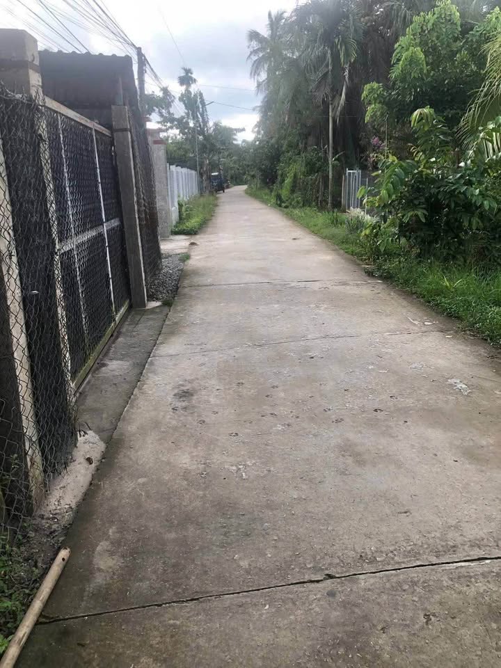 Bán đất nền 150m2 mặt tiền đường Giồng Bông, Bình Hoà, Giồng Trôm, Bến Tre