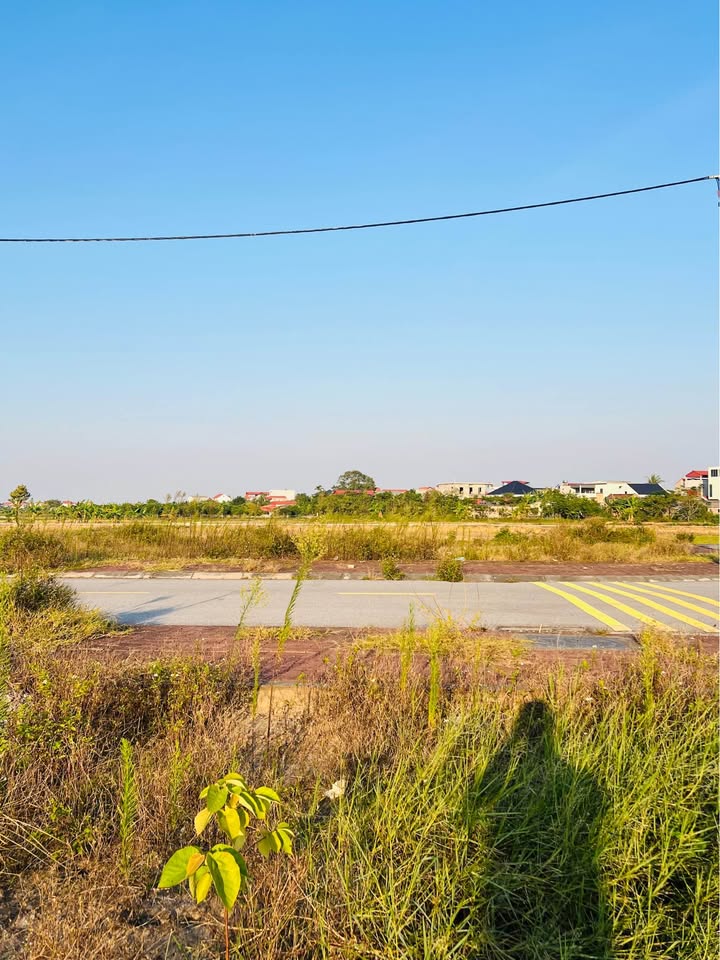 Tấc đất Phù Cừ, vạn lộc vào nhà