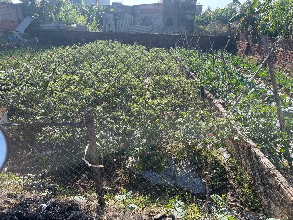 Đất vàng Bắc Thượng, Quang Tiến 64m2, mặt tiền rộng, gần sân bay Nội Bài