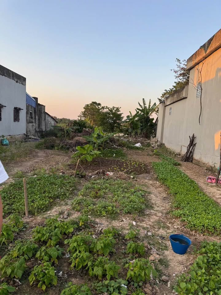 Bán đất Kim Bảng, Hà Nam - 132m2, mặt tiền 5.7m, đối diện trường mầm non