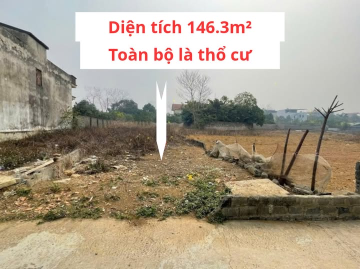 Mảnh đất view đồng lúa Quốc Oai, hơn 3 tỷ sở hữu ngay