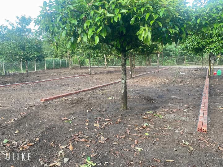 Chào bạn, nếu bạn đang tìm kiếm một nơi an cư lạc nghiệp hoặc một kênh đầu tư an toàn