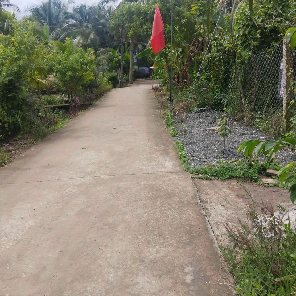 Đất nền xịn sò, dân cư đông đúc, giá iu thương