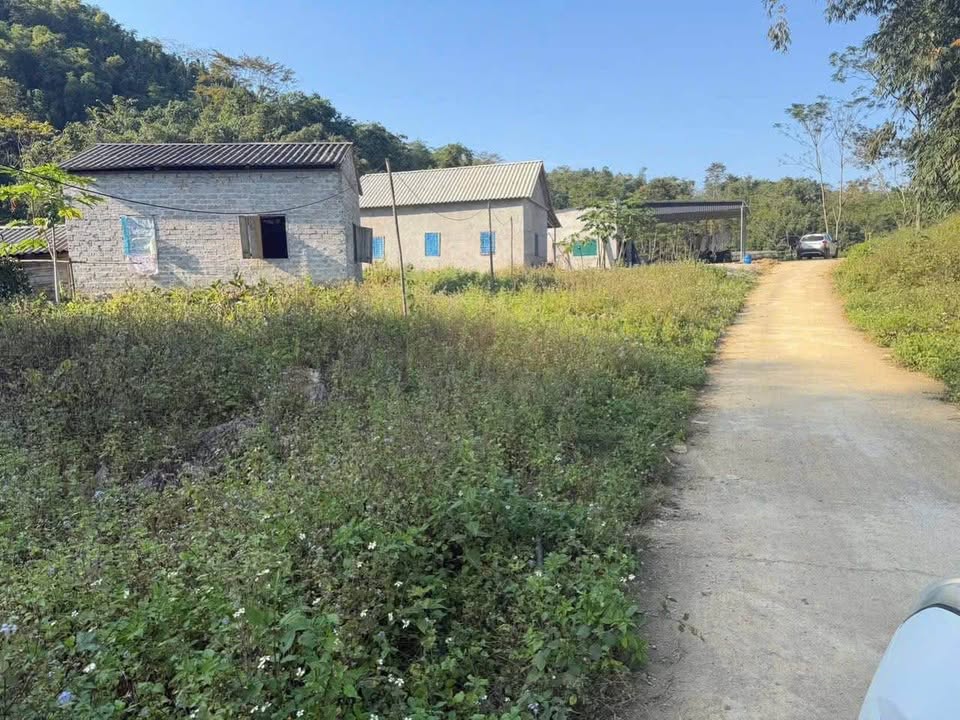 Đất Mai Châu 250m2 thổ cư, bám đường bê tông